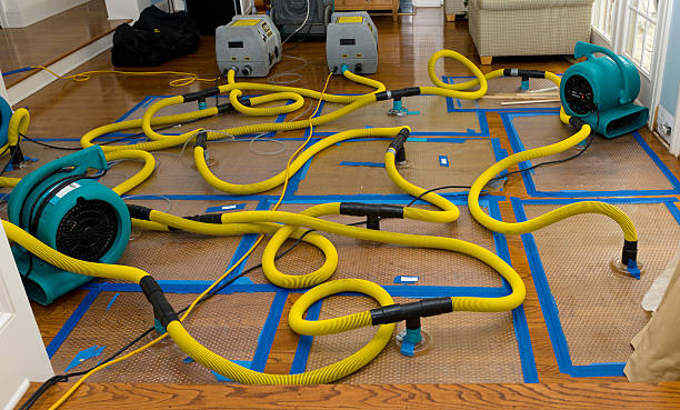 Professional Crawl Space Water Removal technician working in Driftwood, TX